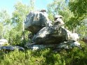 2014-07-03 10-33-17 Rando foret de Nemours FGn